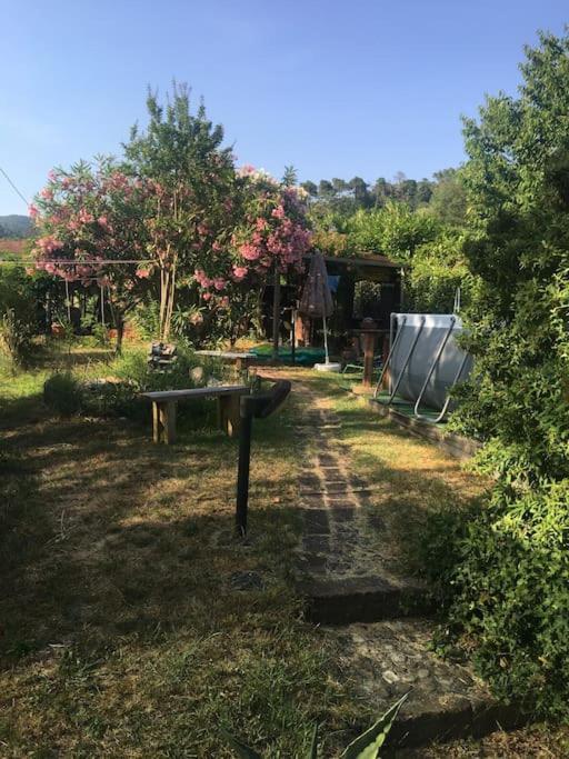사르자나 Le Rose , Relax In Casolare Del 1700 아파트 외부 사진