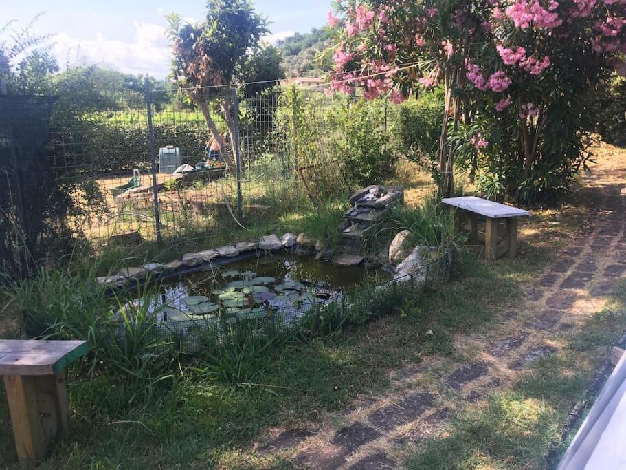 사르자나 Le Rose , Relax In Casolare Del 1700 아파트 외부 사진
